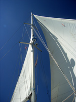 Rauschefahrt unter Segeln südlich Samsö (c)Frank